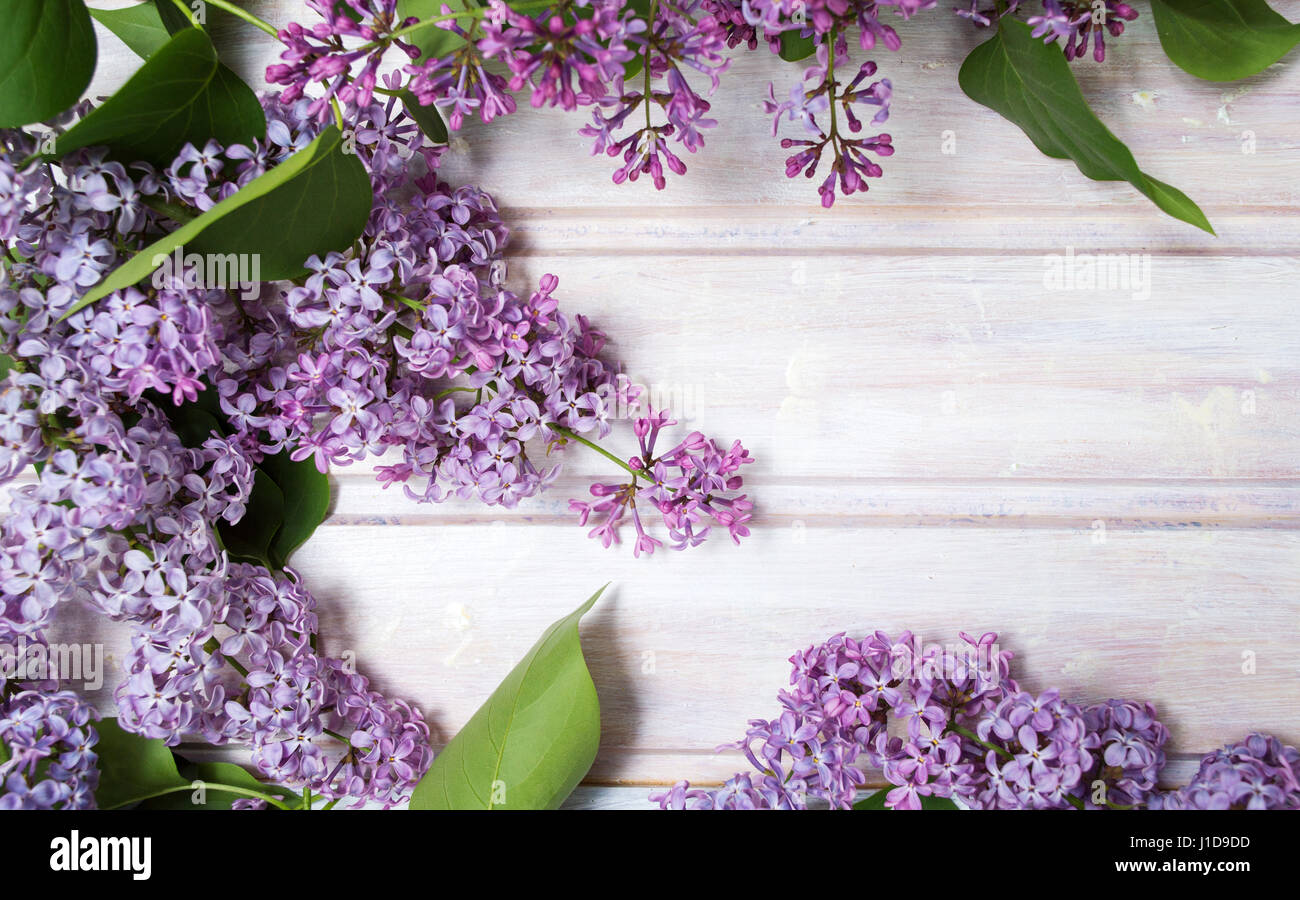 Fresh lilac spring flowers on a wooden table Stock Photo