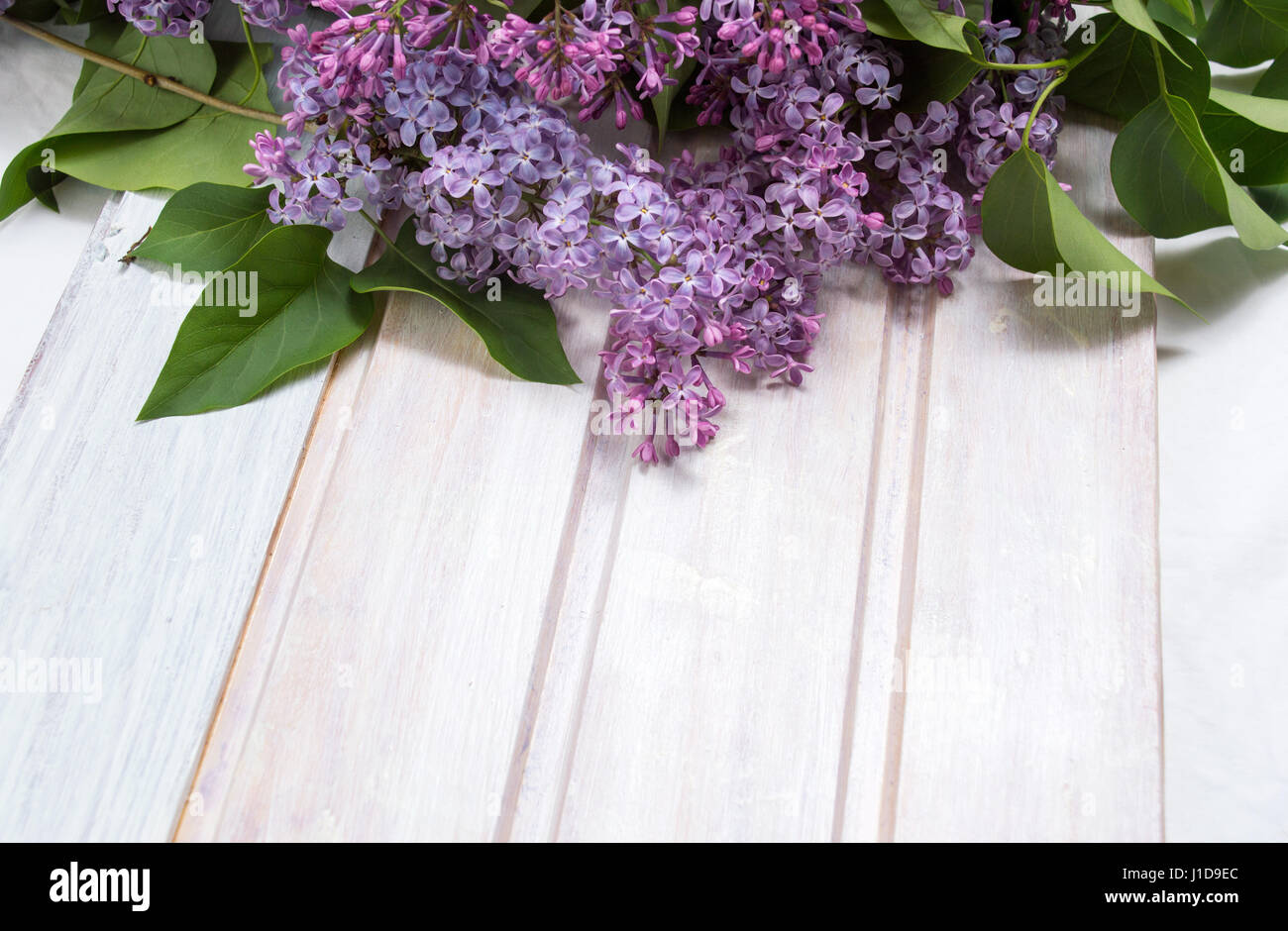 Fresh lilac spring flowers on a wooden table Stock Photo