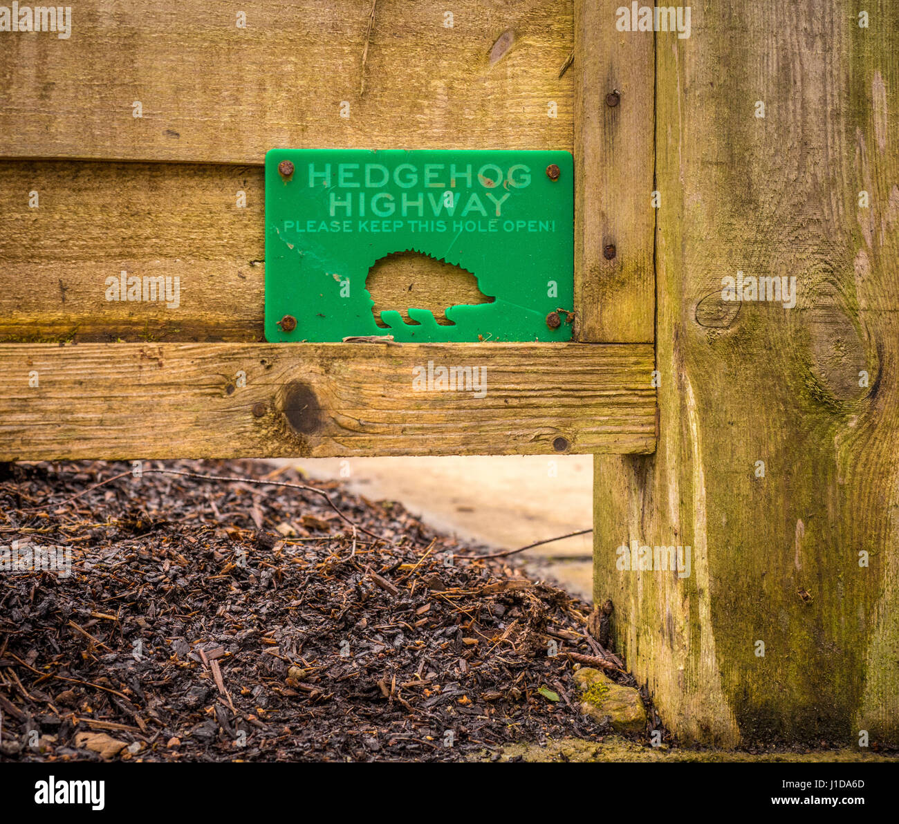 Hedgehog highway sign with gap under fence to allow access. Stock Photo