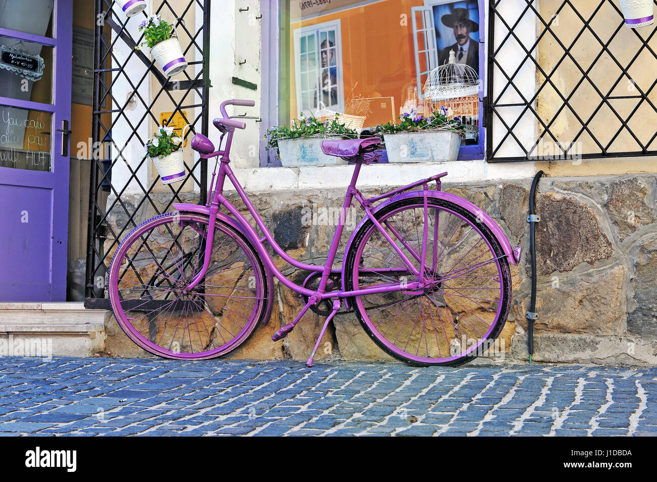 Purple bike hi-res stock photography and images - Alamy