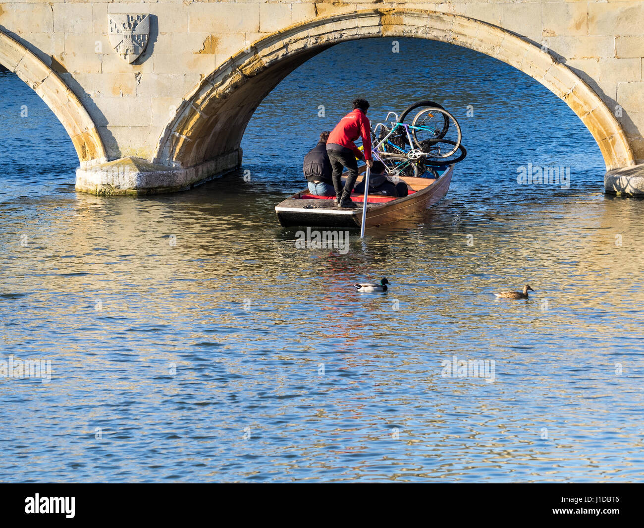 Punters moving bikes in Cambridge UK Stock Photo