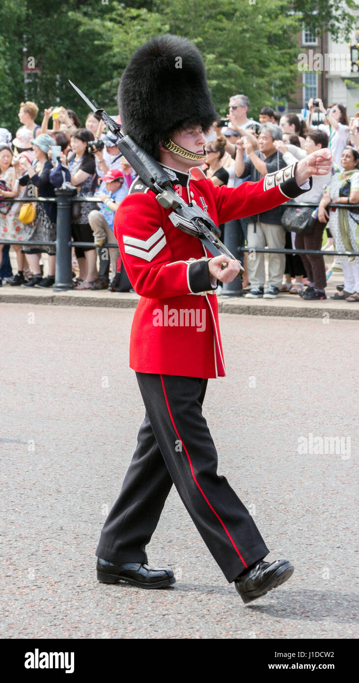 LONDON - JUL 1, 2015: British Royal guards performing the Changing of the Guard at Buckingham Palace. The ceremony is one of the top attractions in Lo Stock Photo