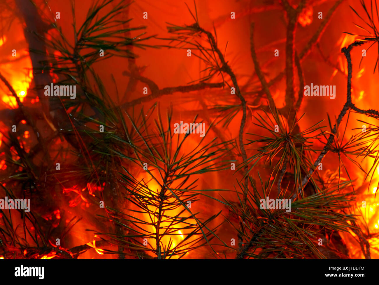 Campfire glow hires stock photography and images Alamy