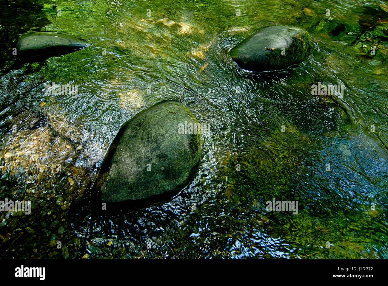 stream with moss growing on rocks Stock Photo