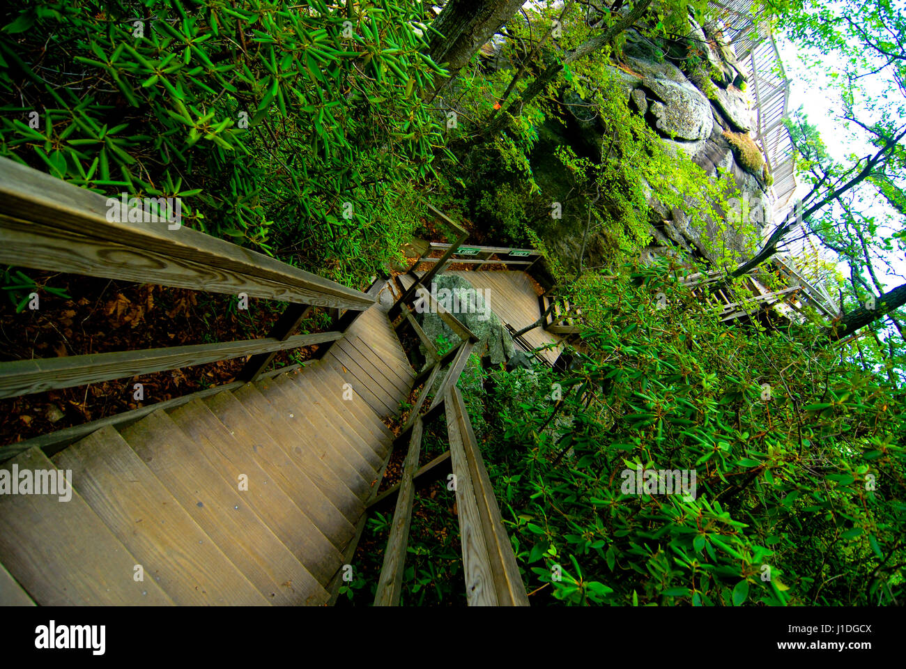 smoky mountains north carolina walkway down mountain Stock Photo Alamy