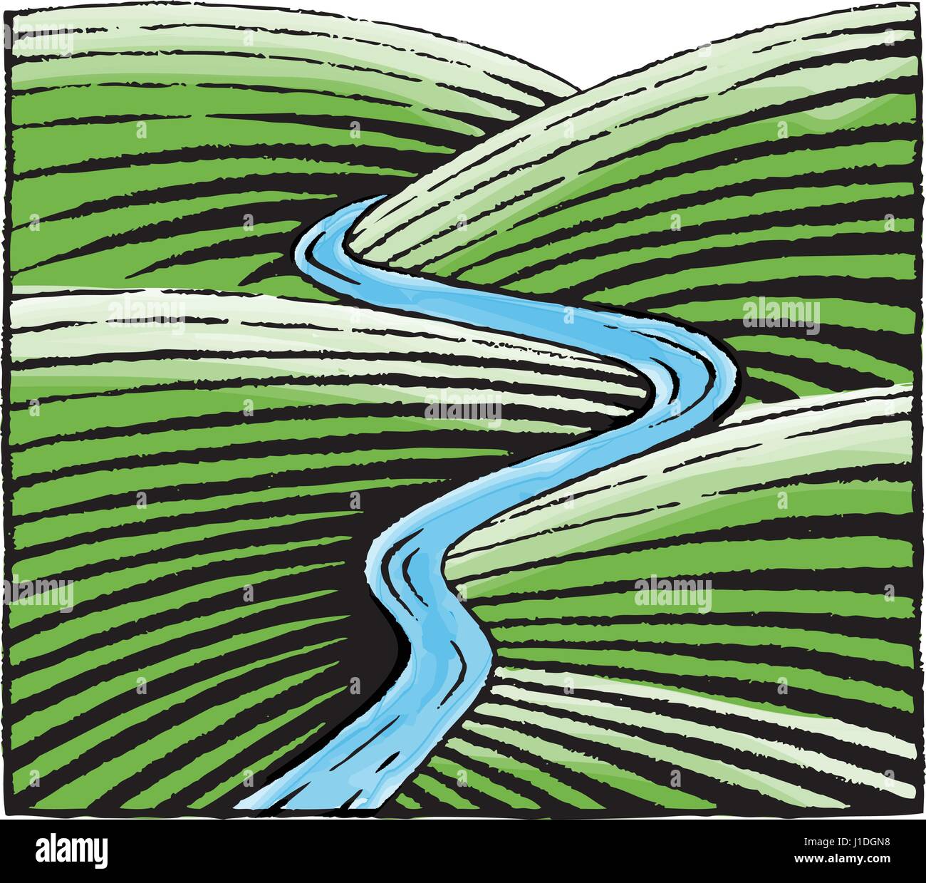 Vector Illustration of a Scratchboard Style Ink and Watercolor Drawing