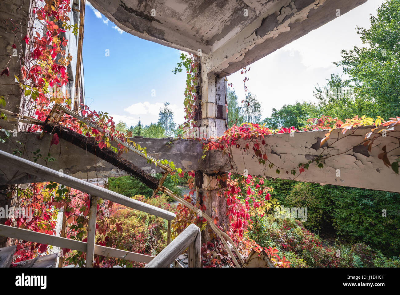 Overgrown Staircase Of Abandoned Jupiter Factory In Pripyat Ghost Stock Photo Alamy
