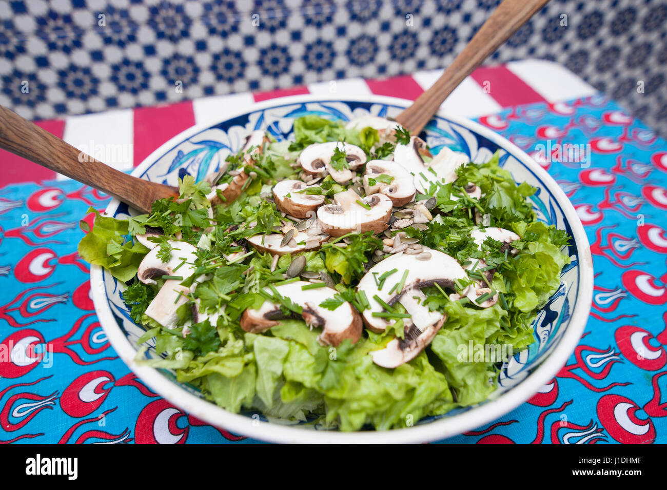 Stunning Vegetarian Dog Treats Background for Mobile Stunning Vegetarian Dog Treats Background for Mobile