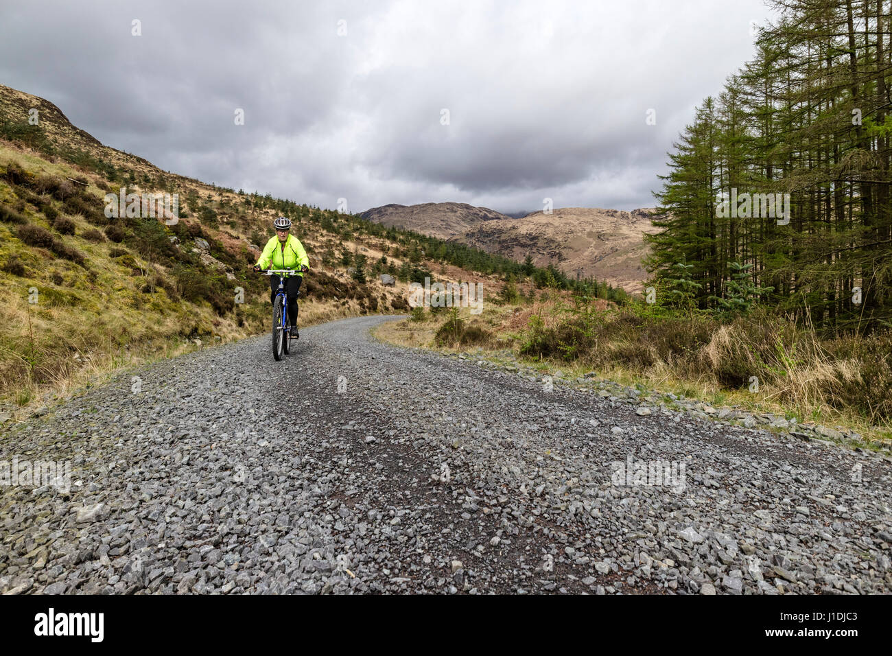 Mountain Biker on National Cycle Route 7 in Glen Trool, Galloway Hills, Scotland Stock Photo