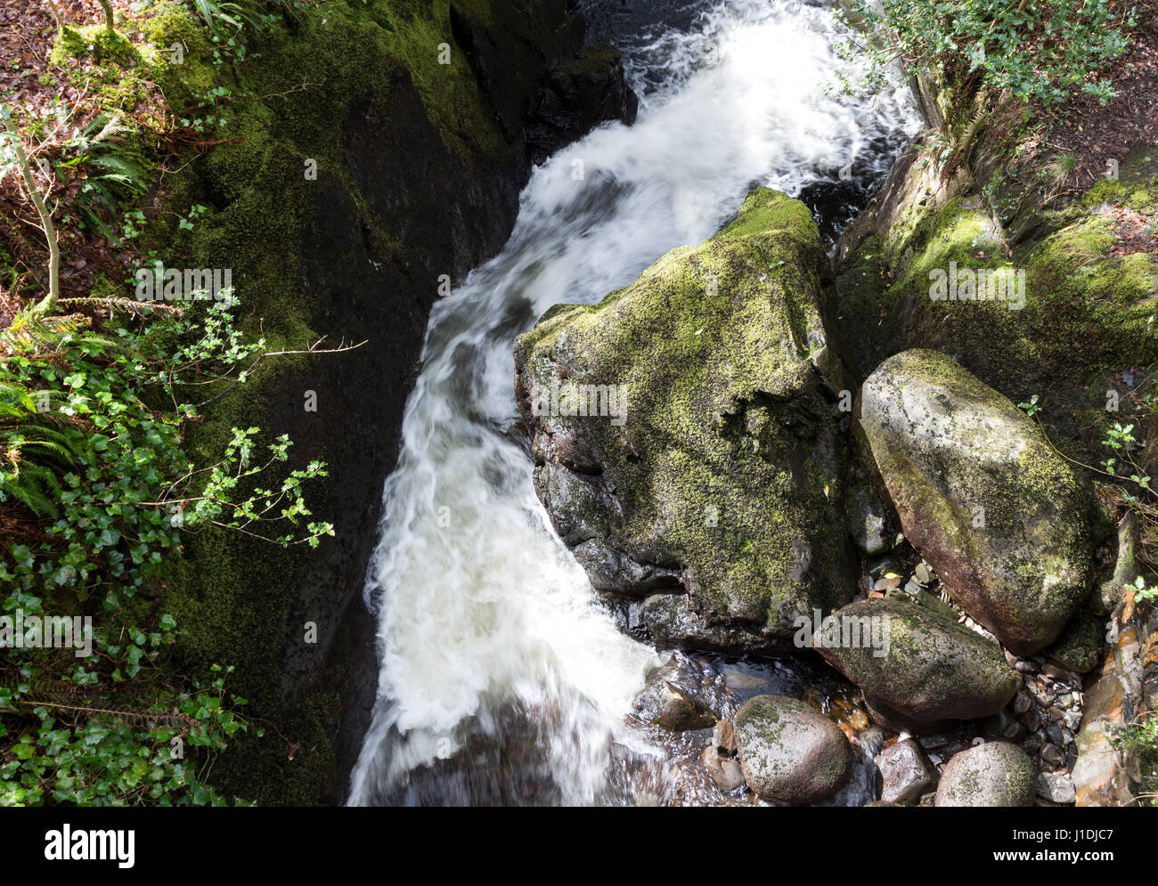 Boulder Worn into the Shape of a Trolls Head Laying in a Stream Bed, Glen Trool, Galloway Hills, Scotland Stock Photo