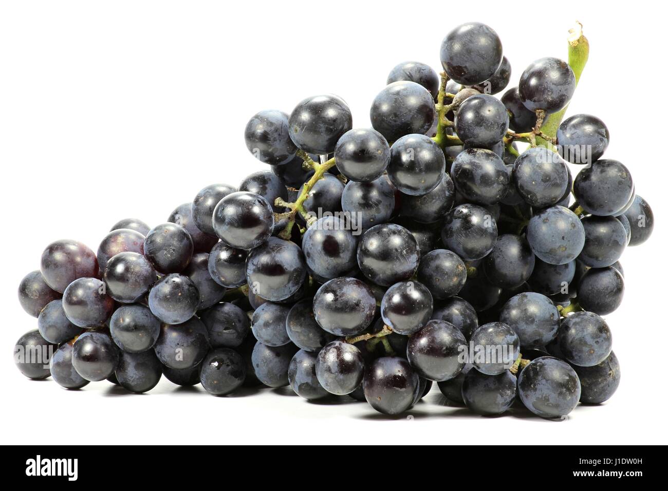 grapes (variety Muscat Bleu) isolated on white background Stock Photo