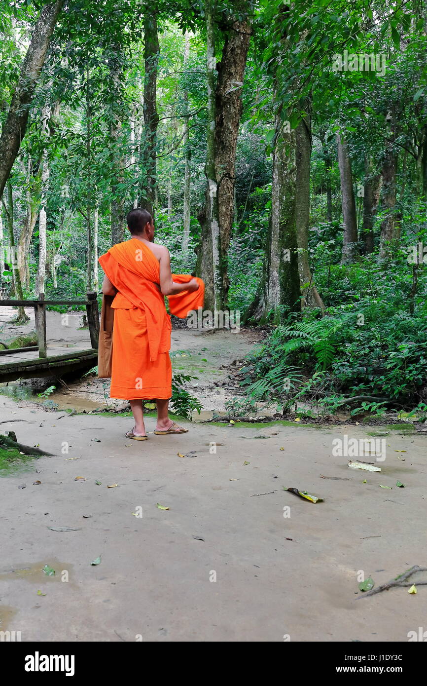 Luang Prabang, Laos-October 10, 2015: Orange dressed Buddhist monk walks the path upstream through the jungle to Tat Kuang Si-Deer Dig falls-watercour Stock Photo