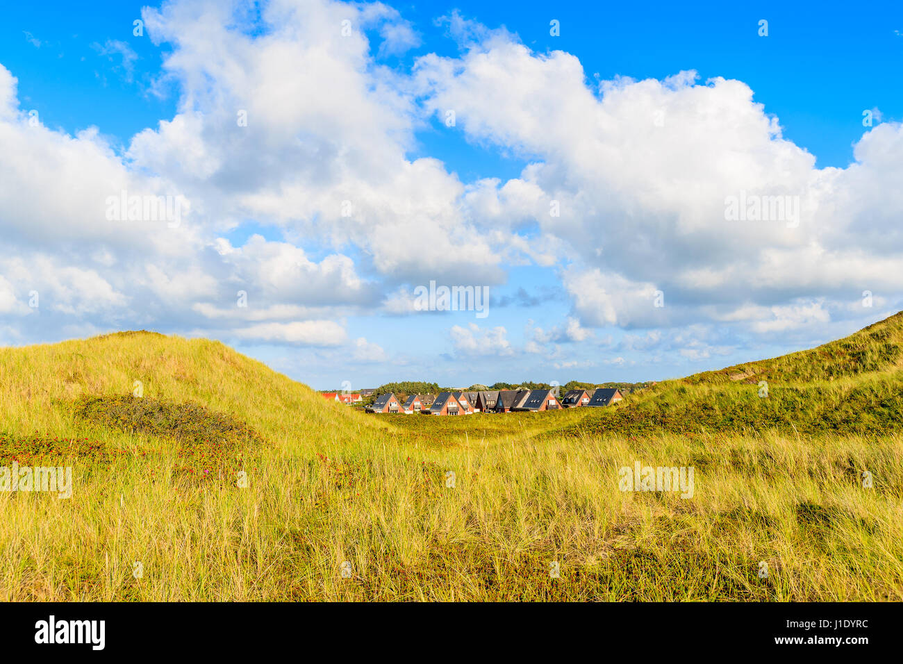 Sand dune with grass and houses of Wenningsted village in background, Sylt island, Germany Stock Photo