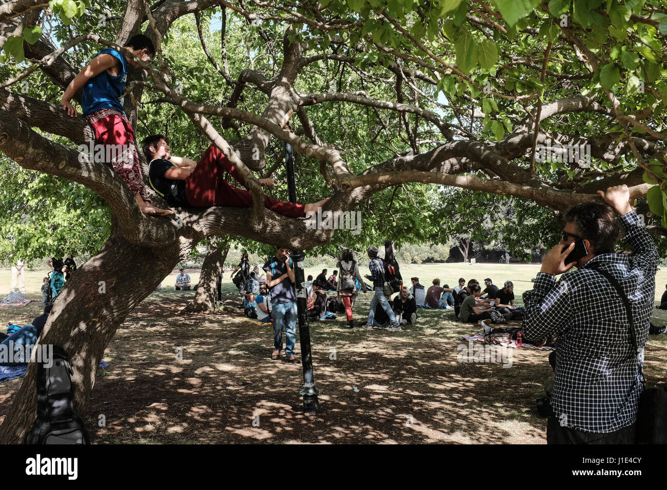 Jerusalem, Israel. 20th April, 2017. Activists for legalization of recreational marijuana symbolically meet at 4:20 at the Wohl Rose Park opposite the Knesset Parliament Building for the Big Bong Night, a twelve hour celebration on International Cannabis Day. The April 20 (4/20) celebration began in the 1970s as the time of day after school, 4:20 pm, for high school students in San Rafael, California to meet to smoke marijuana. Credit: Nir Alon/Alamy Live News Stock Photo