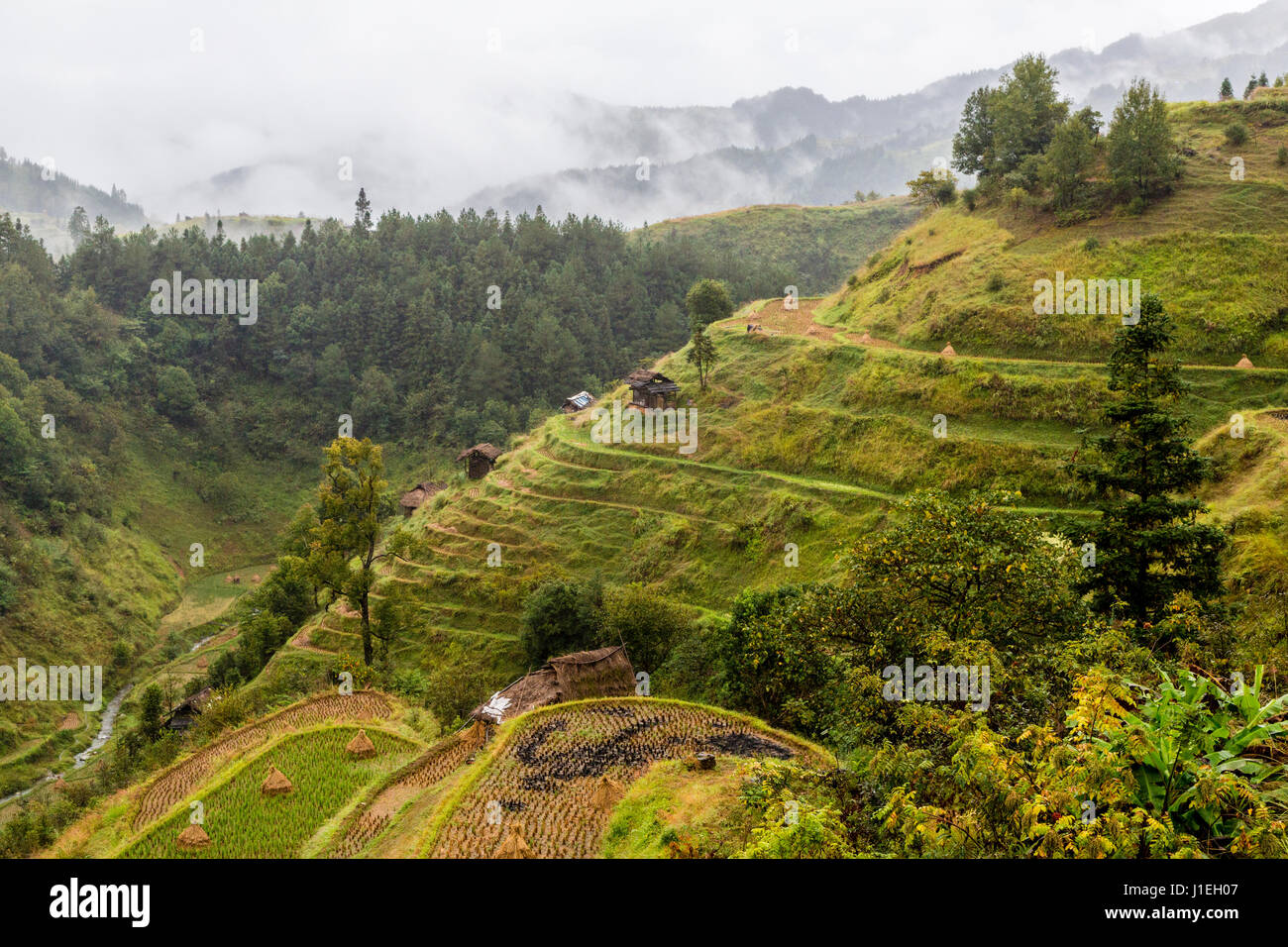 Terrace farming steep hi-res stock photography and images - Alamy