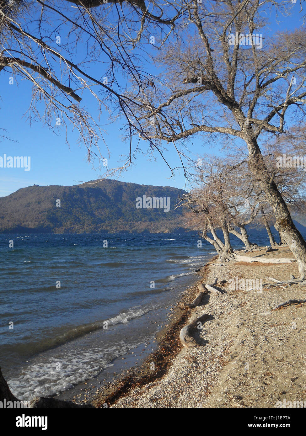 Lakar Lake Patagonia Argentina Stock Photo Alamy