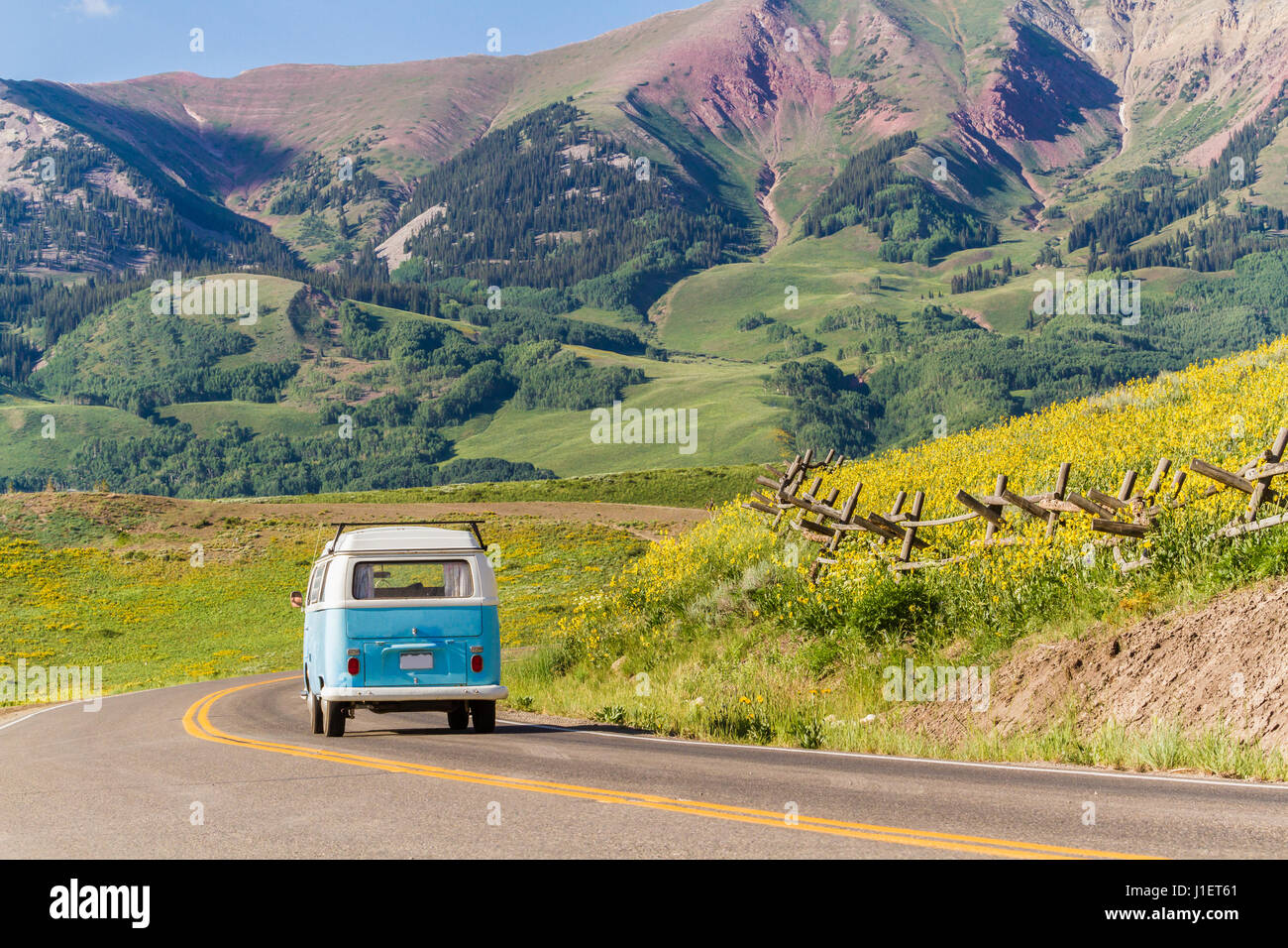 Wildflowers in a full bloom in Crested Butte, Colorado Stock Photo Alamy