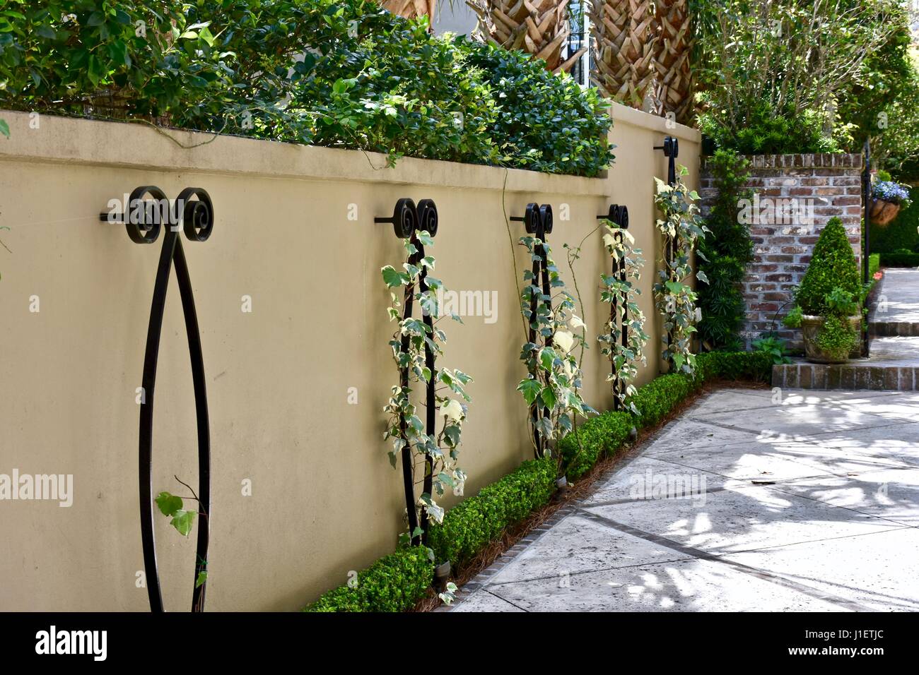 brick wall with vines growing near paved walkway Stock Photo Alamy
