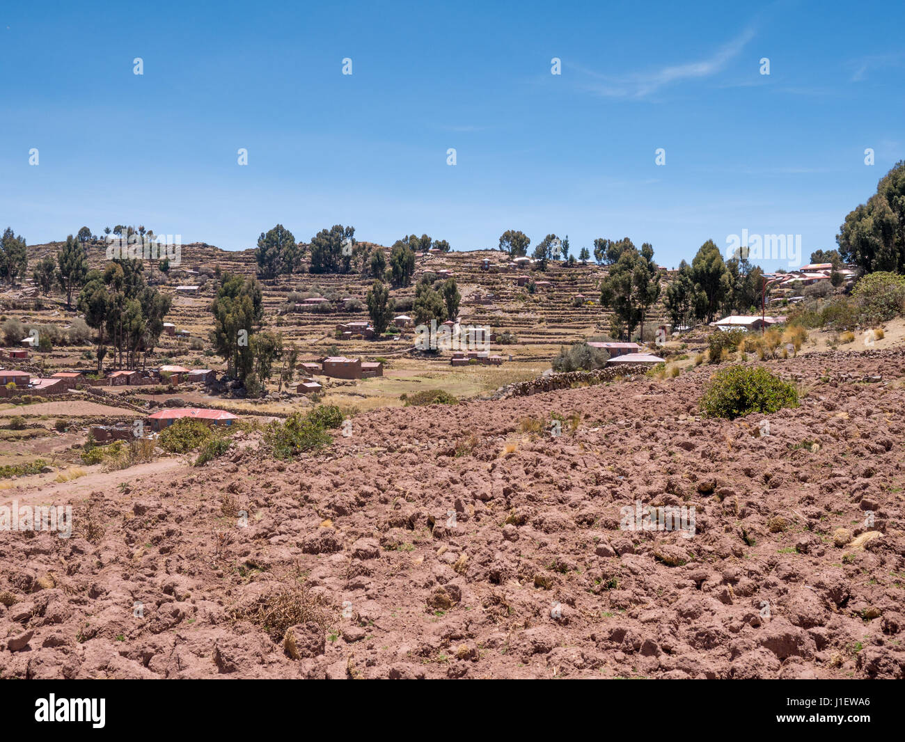 Corn Plantation at Lake Titicaca from Taquile island, Puno Region, Peru Stock Photo