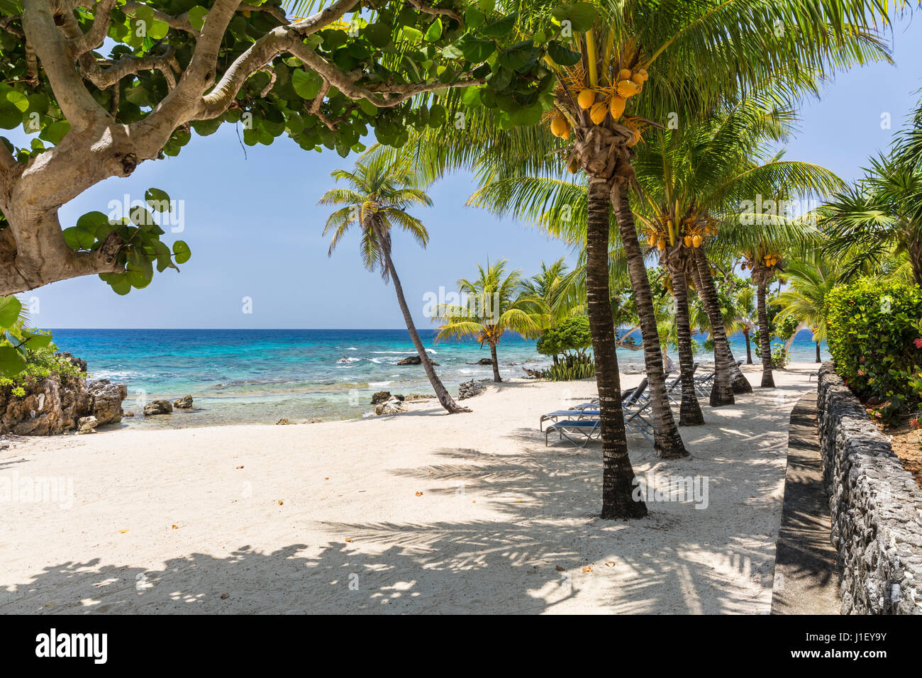 Palm trees and a stone wall line the beautiful sandy beach at Lighthouse Point near the Meridian Resort in Roatan, Honduras. Stock Photo