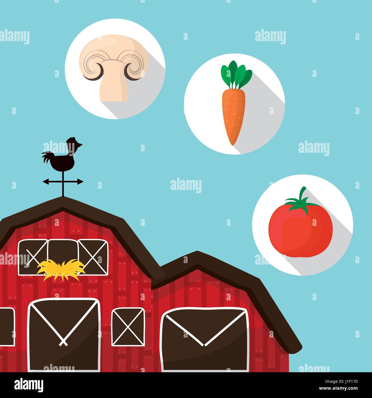 farm vegetables fresh food design Stock Vector Image & Art - Alamy