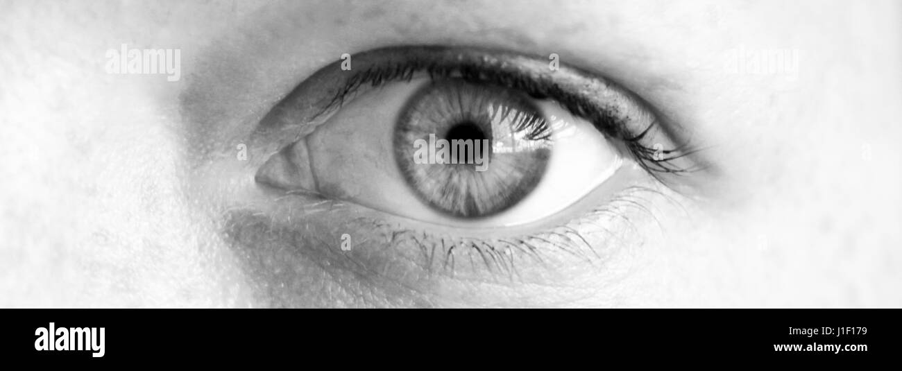 Human eye Black and White Stock Photos & Images - Alamy