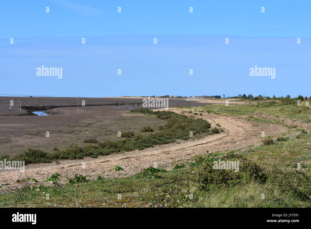 Nature Reserve Beach at Low Tide, Norfolk, United