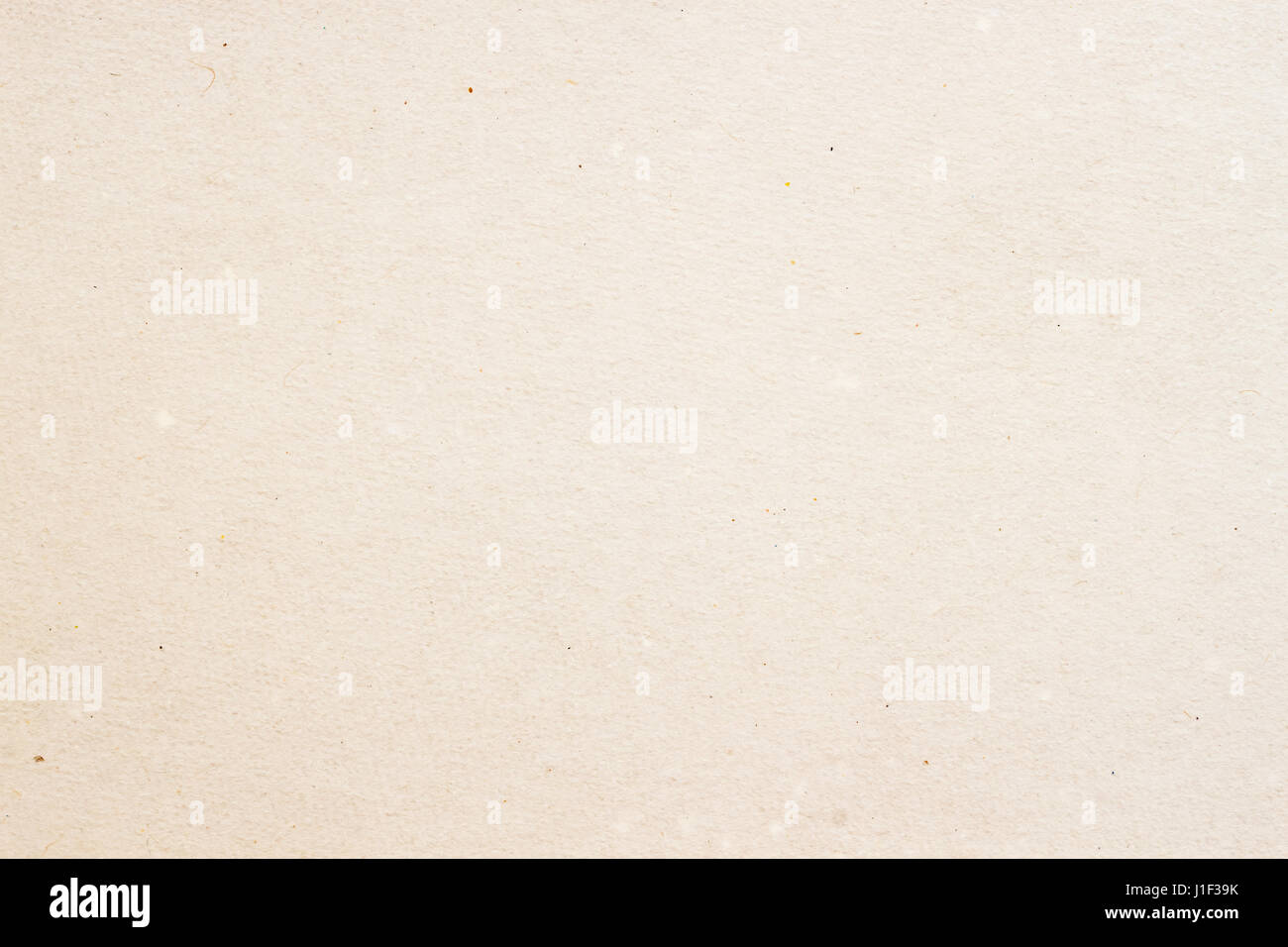 Light Cream Plain Background