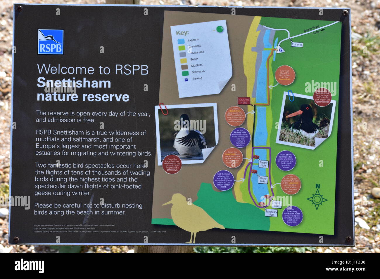 to RSPB Sign in Norfolk, United Kingdom