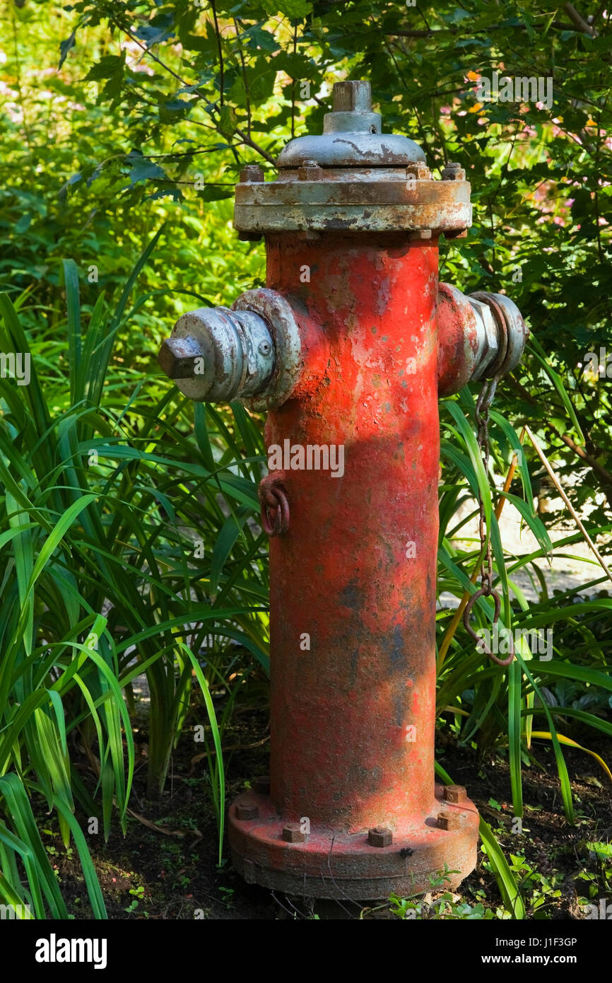 Closeup of a red fire hydrant Stock Photo Alamy
