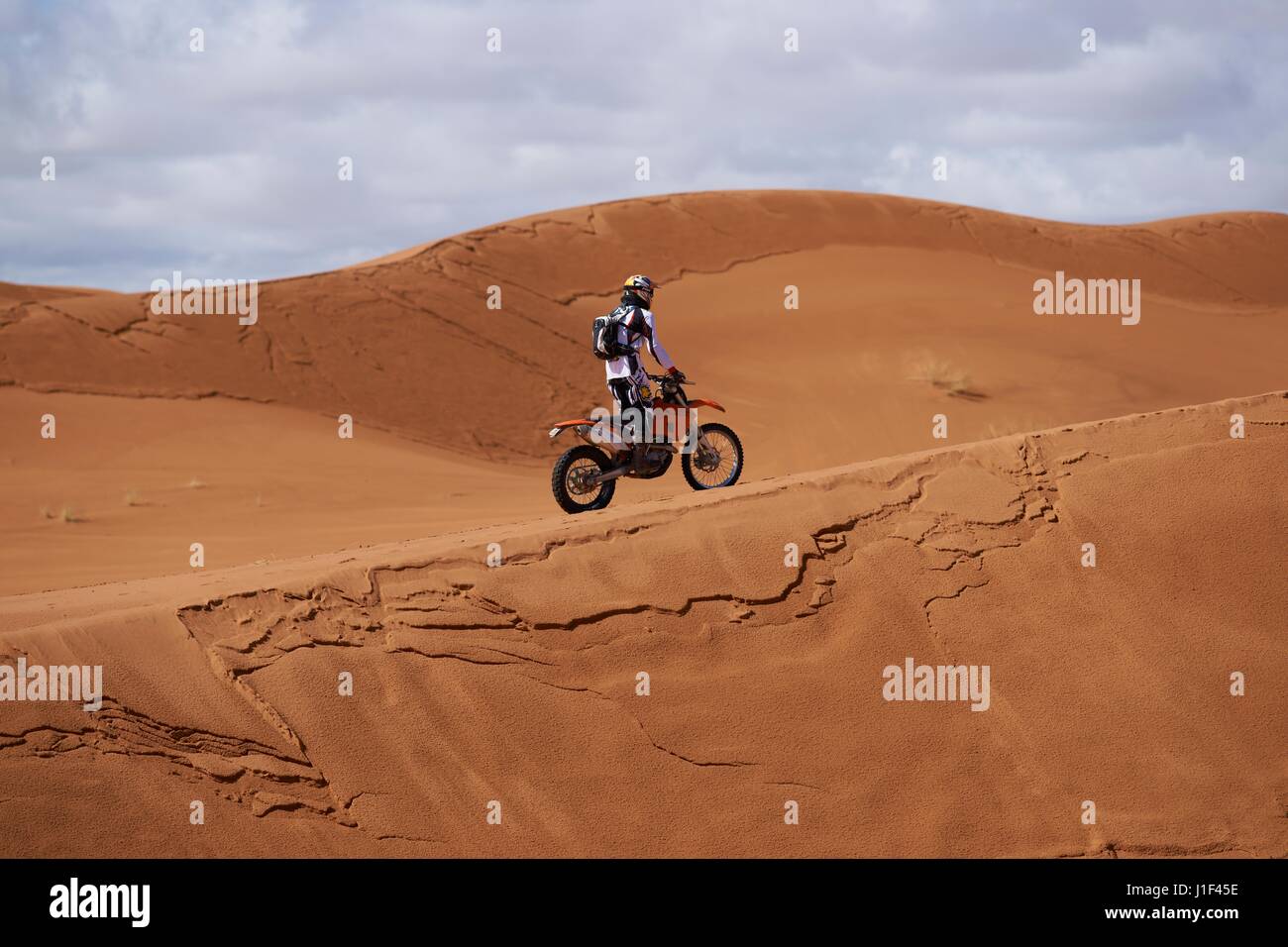 Person motorbiking across sand dunes at Merzouga in the Sahara Desert of Morocco in North Africa Stock Photo