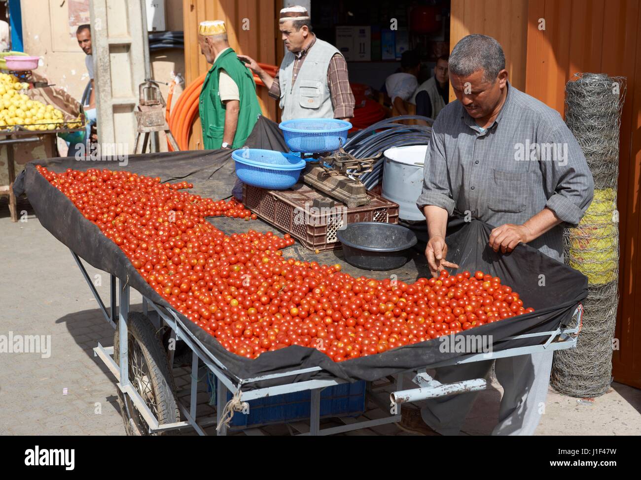 Man selling tomatoes from a hand cart in the ancient town of Taroudant in Morocco. Stock Photo