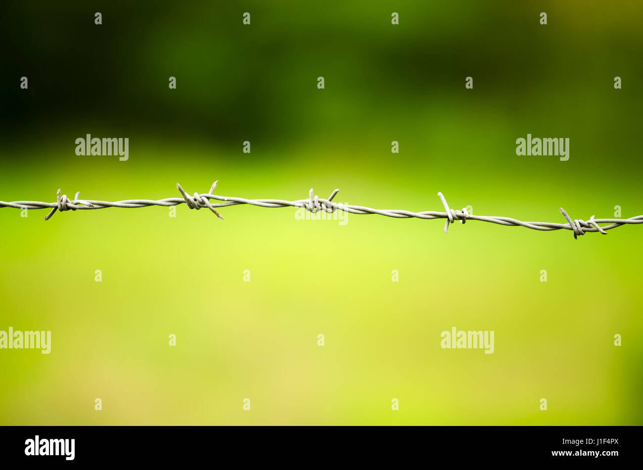 Old barb wire fence on blurry green foliage background Stock Photo - Alamy