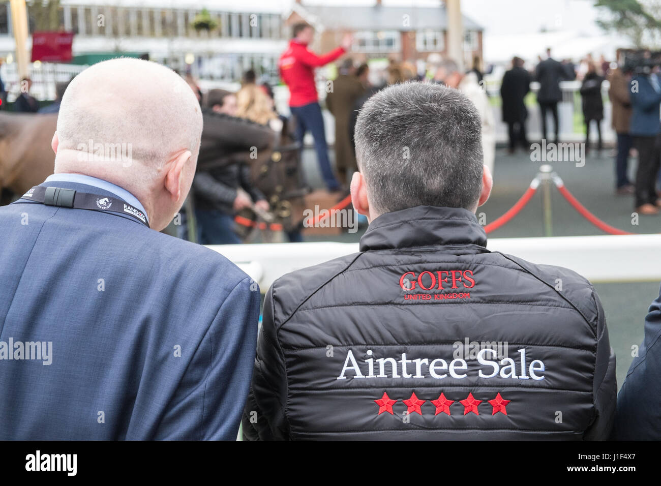 Bidding,on,racehorses,at,Aintree,Goffs,horse,auction,Liverpool,Merseyside,England,City,City,Northern,North,England,English,UK.,U.K.,Britain, Stock Photo