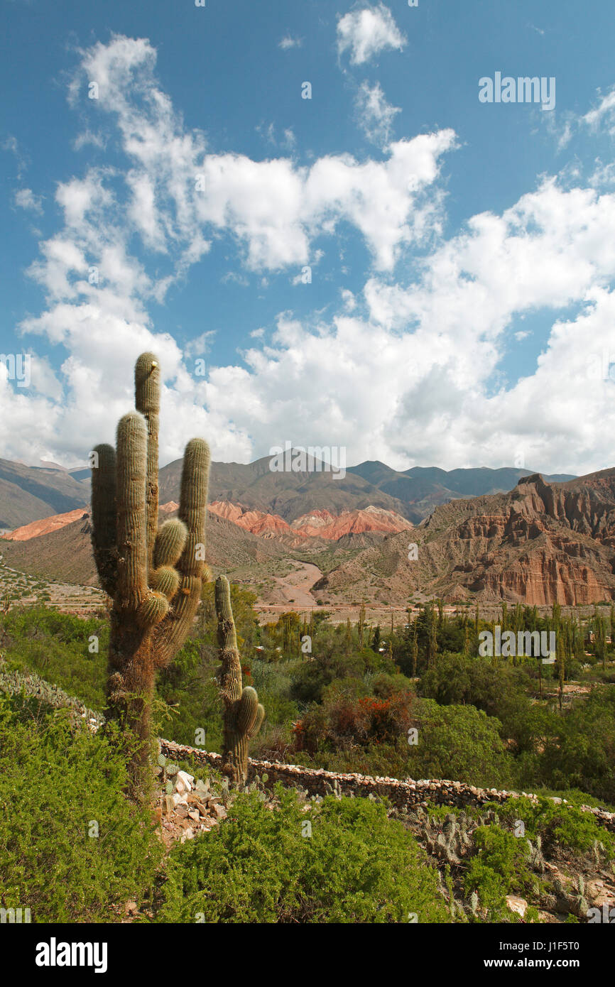 Humahuaca Canyon, Quebrada de Humahuaca, Jujuy Province, Argentina ...