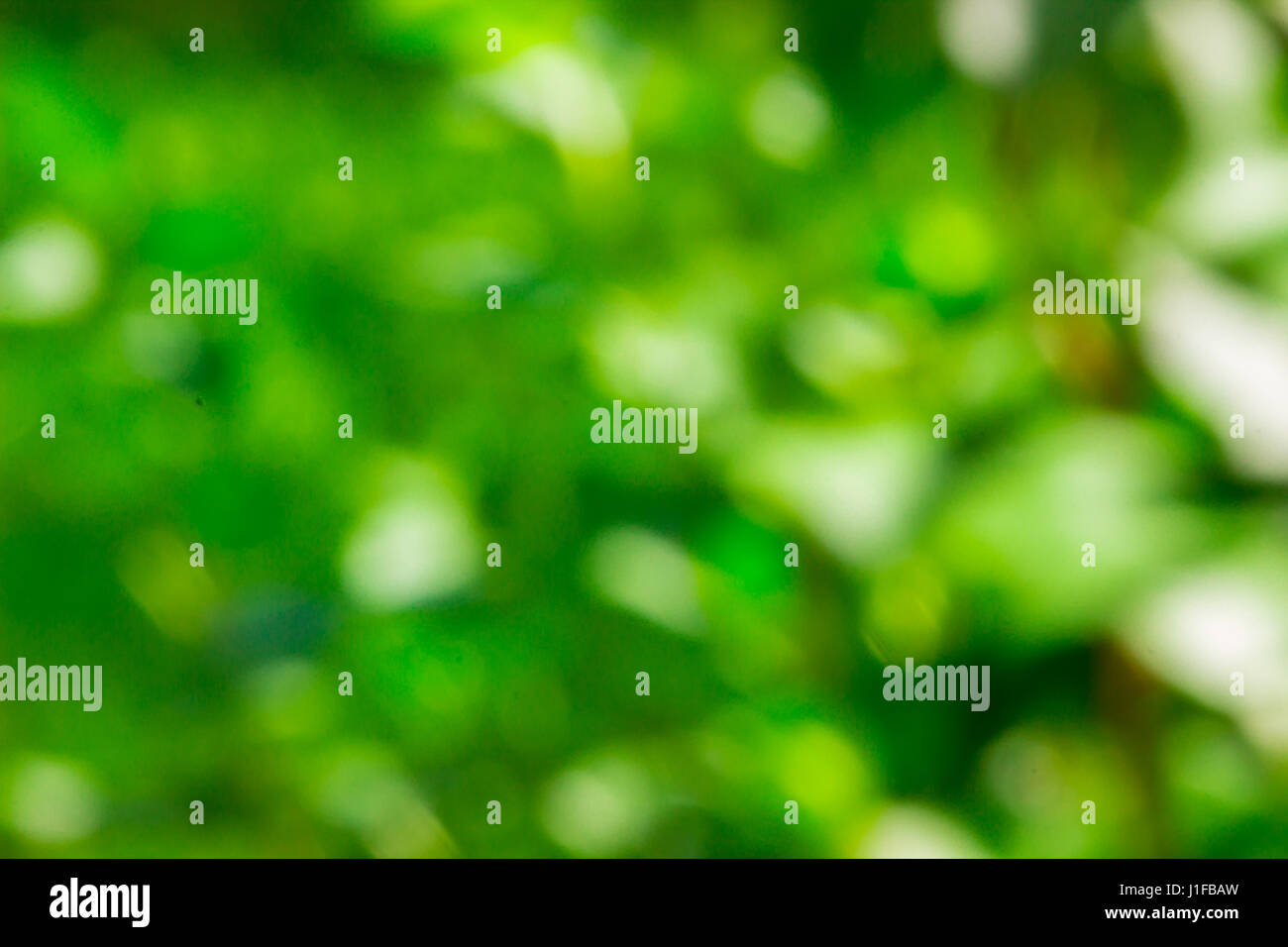 Natural abstract spring background Stock Photo - Alamy