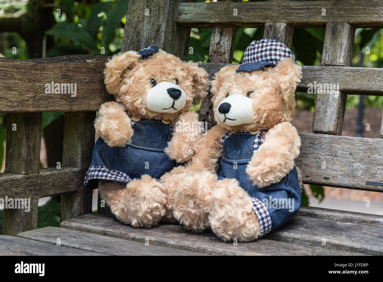 friendship teddy bears