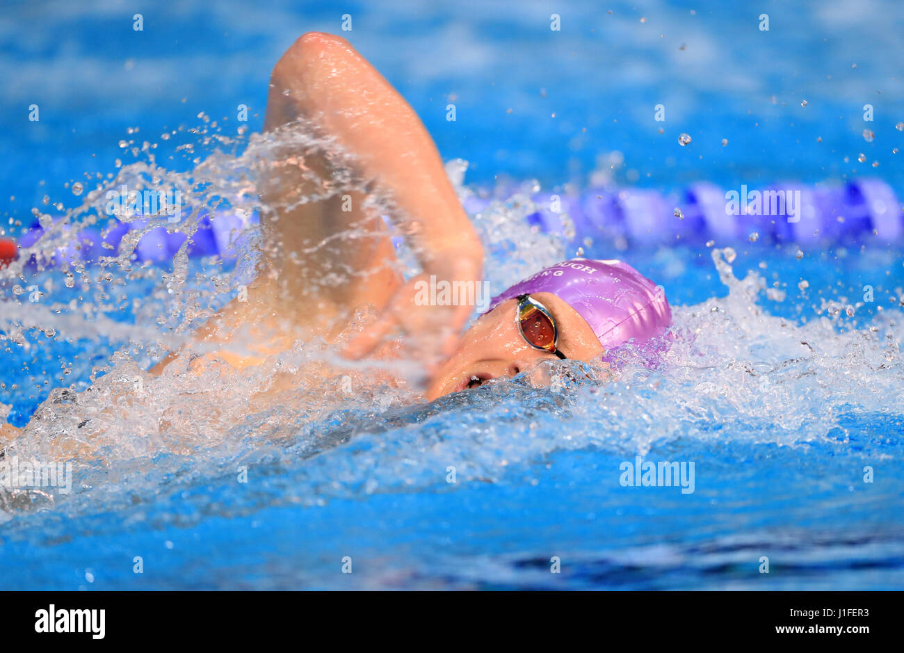 Timothy Shuttleworth competes in the Men's Open 1500m Freestyle during day three of the 2017 British Swimming Championships at Ponds Forge, Sheffield. Stock Photo