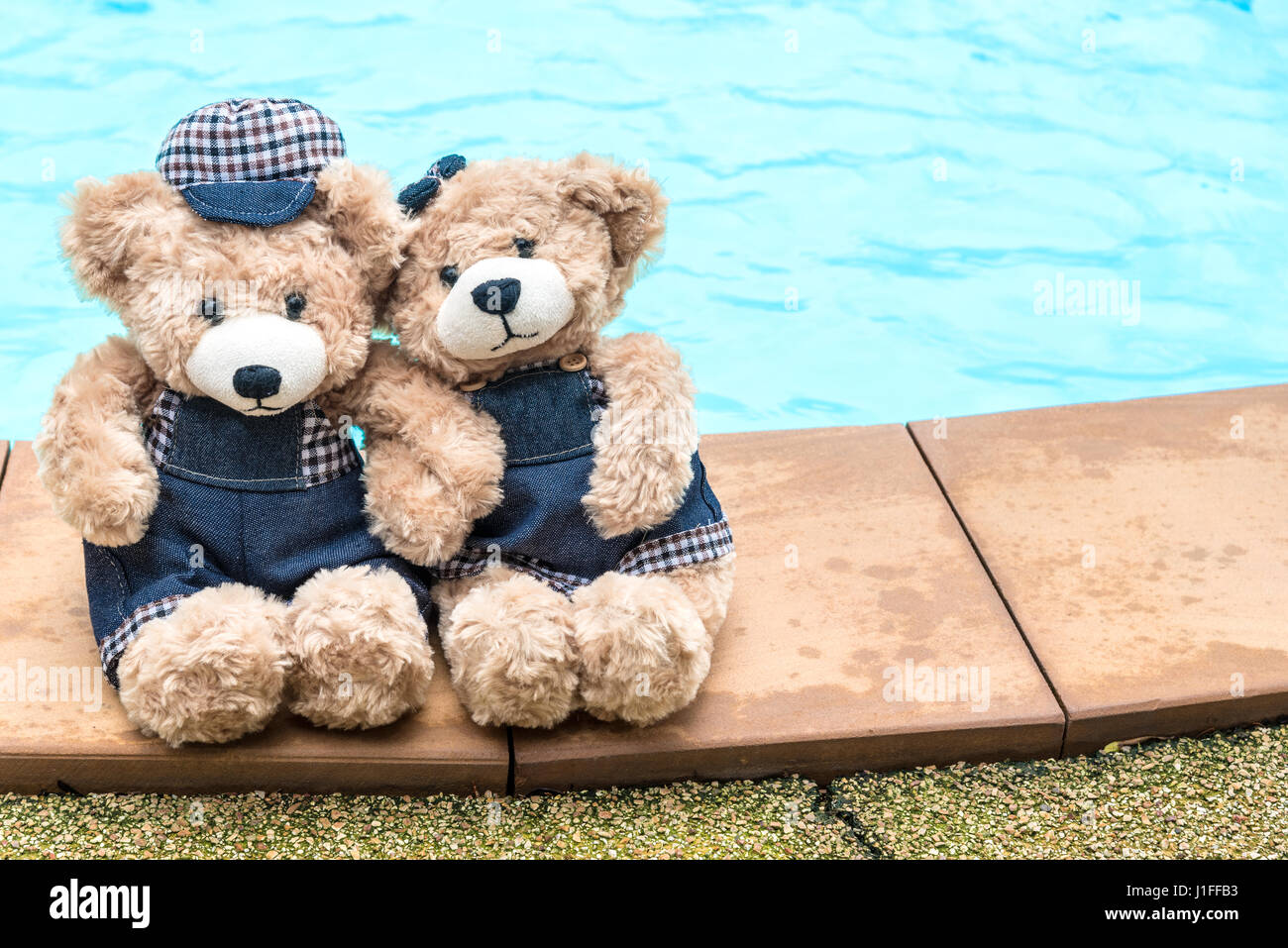 teddy bear pool