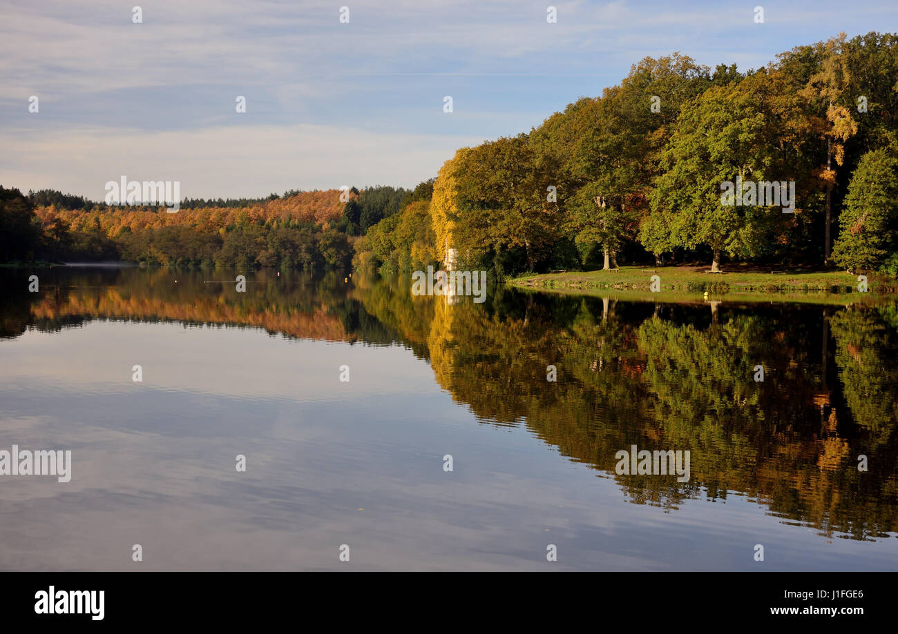 Autumn reflections in a Wiltshire lake. Stock Photo