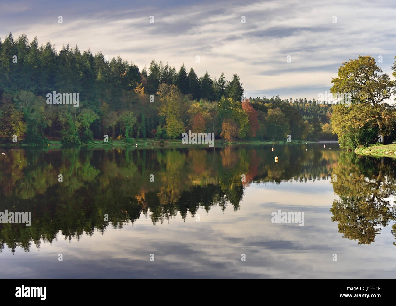 Autumn reflections in a Wiltshire lake. Stock Photo