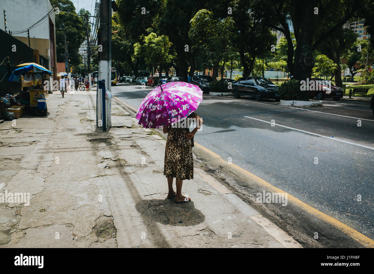 Old woman with pink umbrella waits for the bus in Belém, Pará, Brazil Stock Photo