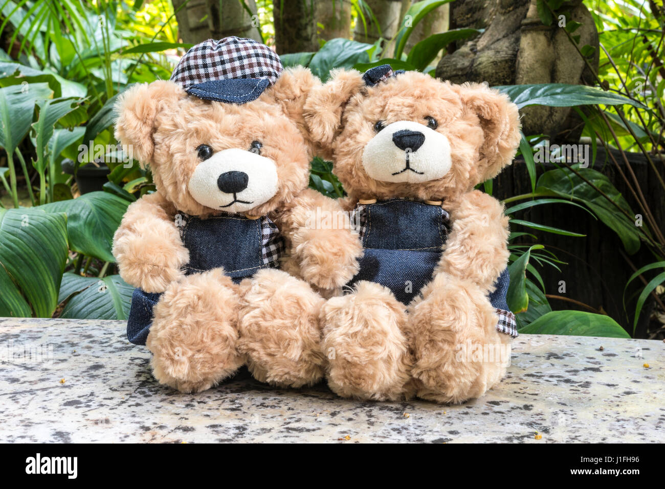 couple teddy bears picnic in garden, love concept Stock Photo Alamy