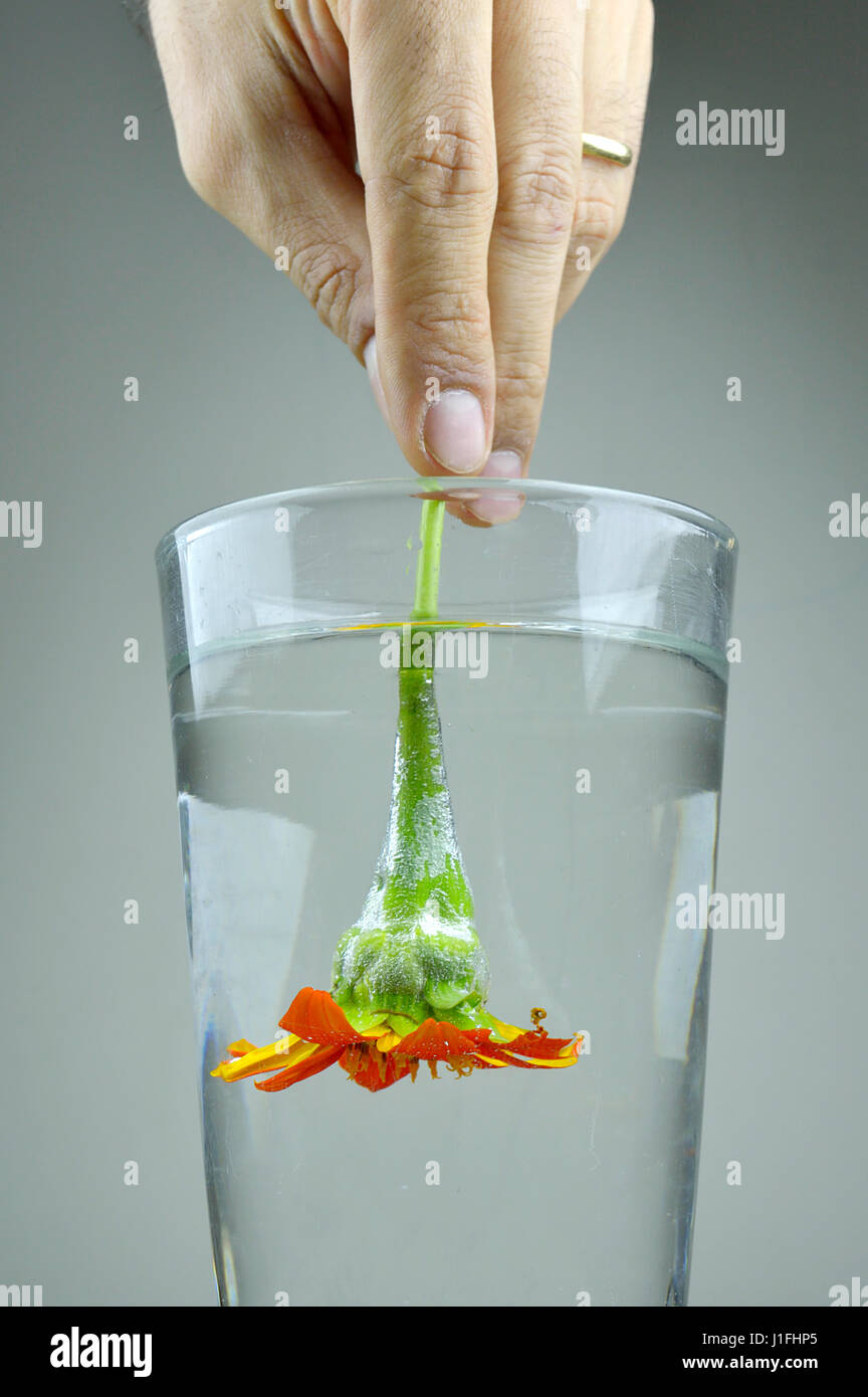 Water upside down glass hires stock photography and images Alamy