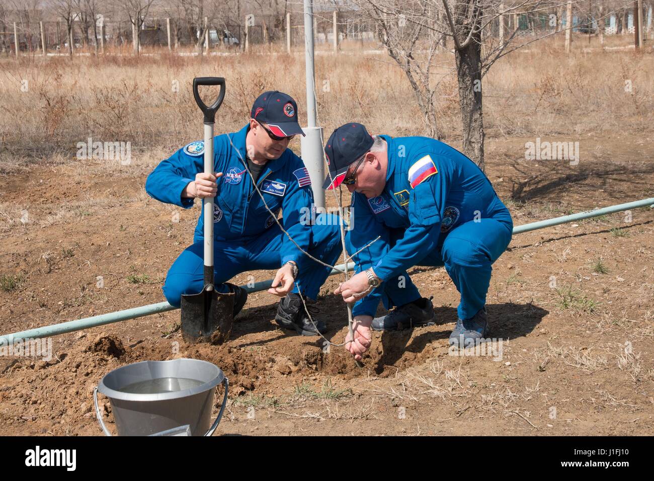 NASA International Space Station Expedition 51 Soyuz MS-04 mission prime crew members American astronaut Jack Fischer (left), and Russian cosmonaut Fyodor Yurchikhin of Roscosmos plant a tree in Fischers name during a traditional pre-launch ceremony at the Cosmonaut Hotel April 13, 2017 in Baikonur, Kazakhstan.      (photo by Victor Zelentsov /NASA   via Planetpix) Stock Photo
