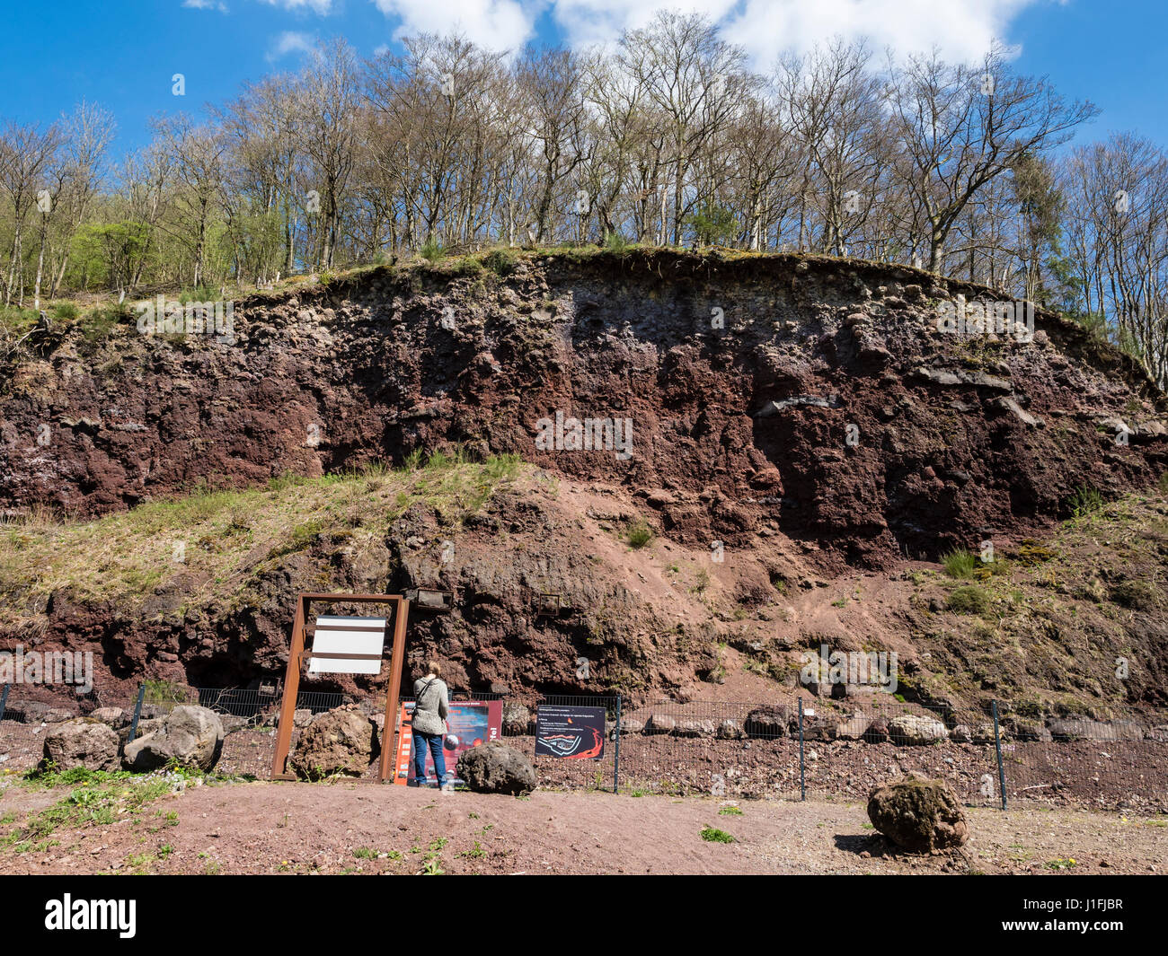 Volcanic crater wall, village Strohn, near Daun, Eifel, Germany Stock Photo
