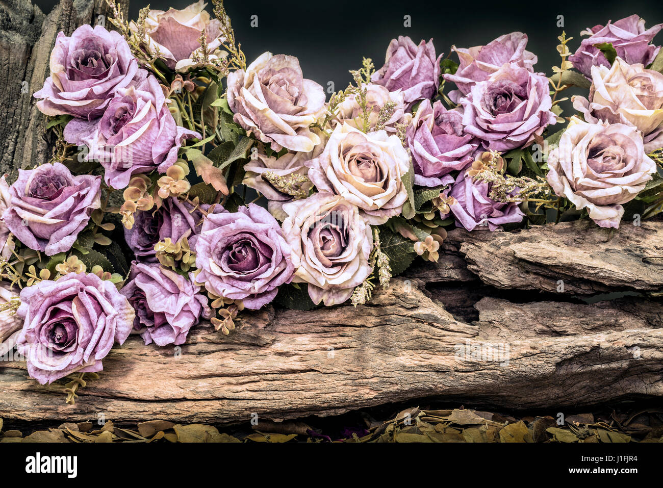 still life painting photography with purple roses and timber, love concept  vintage style Stock Photo - Alamy