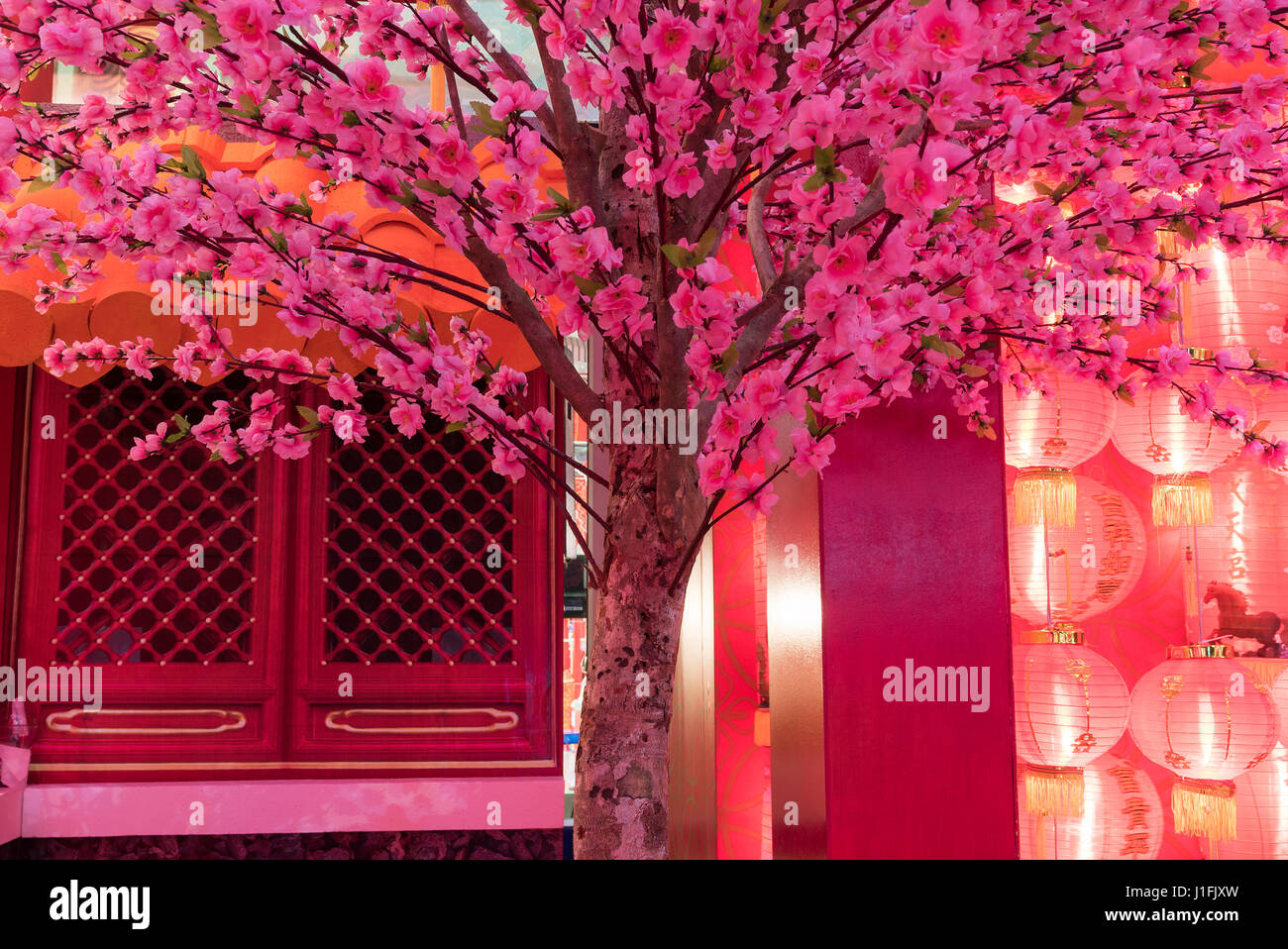 Chinese plum flower hi-res stock photography and images - Alamy