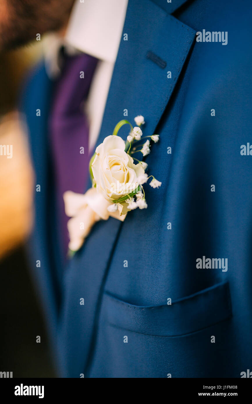Wedding flower boutonniere groom Stock Photo Alamy