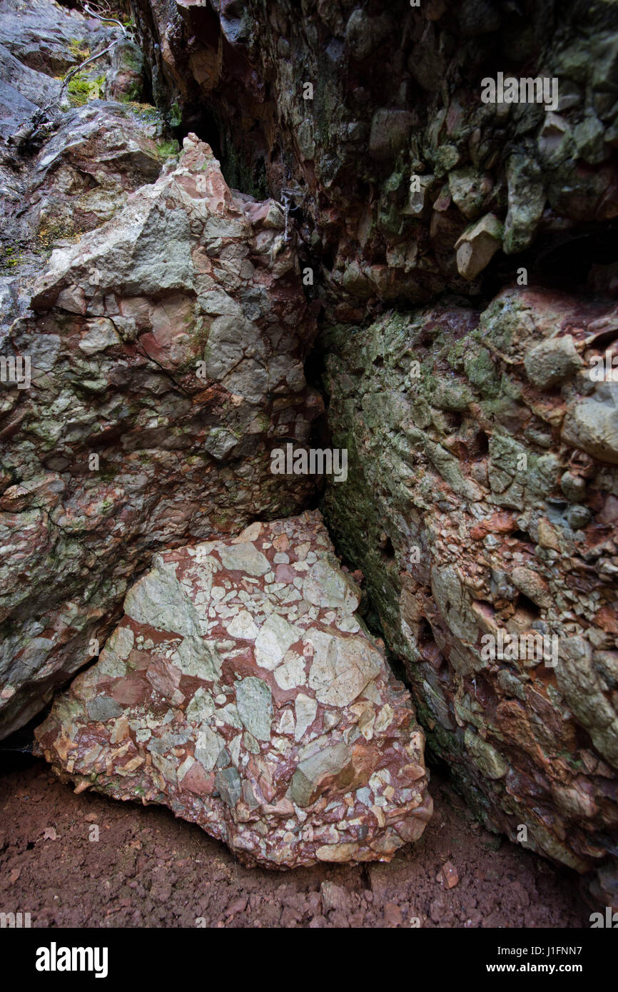 Leesburg limstone conglomerate, sedimentary rock, Frederick county, Maryland, in situ Stock Photo